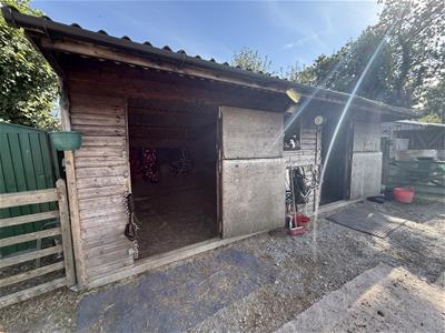 Picture 23